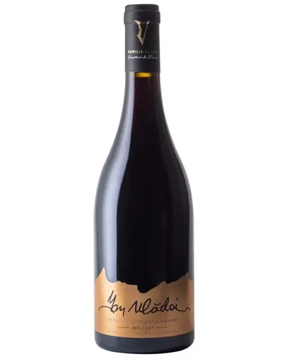 Ion Vladoi Merlot & Feteasca Neagra 2016