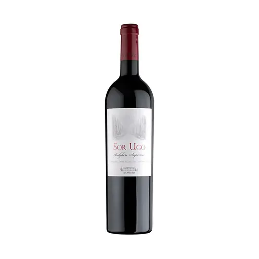 Vin Rosu Sec Sor Ugo Bolgheri Superiore DOC 2022