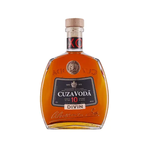 Divin Cuza Voda Biografie 10 Ani