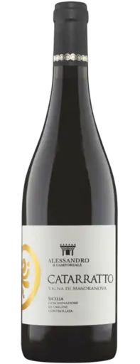Catarratto vigna Mandranova BIO Alessandro di Camporeale