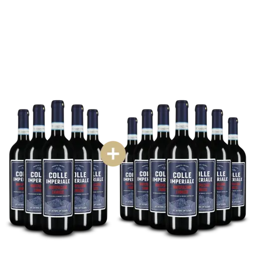 12 sticle Montepulciano d'Abruzzo 2024