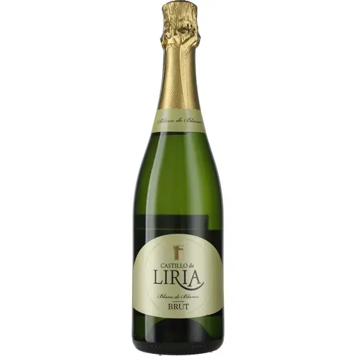 Vin spumant Vicente Gandia Castillo de Liria Blanc de Blancs, Macabeo - Chardonnay, galben