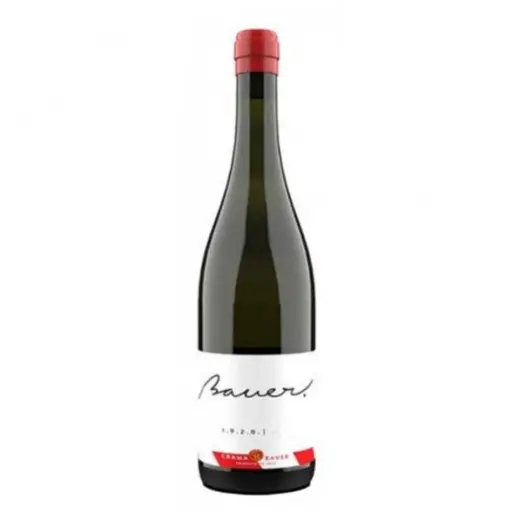 Bauer Cuvee 1.9.2.0 2021 - Vin Alb Sec de Autor