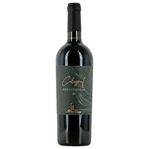 Artisan Winery Caligraf Merlot & Feteasca