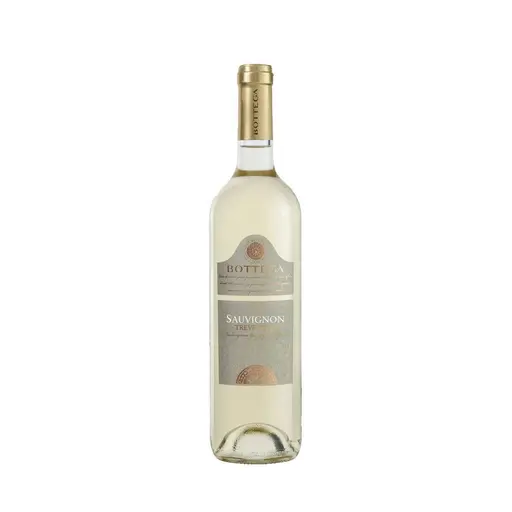 Bottega Sauvignon IGT delle Venezie