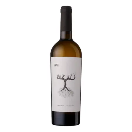 Moldova Atu Winery Rkatiteli Alb