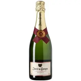 Juve & Camps Cava Purpura Reserva