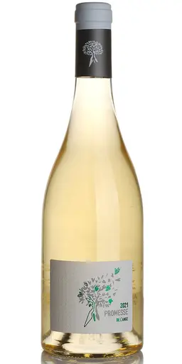 Chateau Hermitage Saint Martin Promesse De L'Ange Blanc