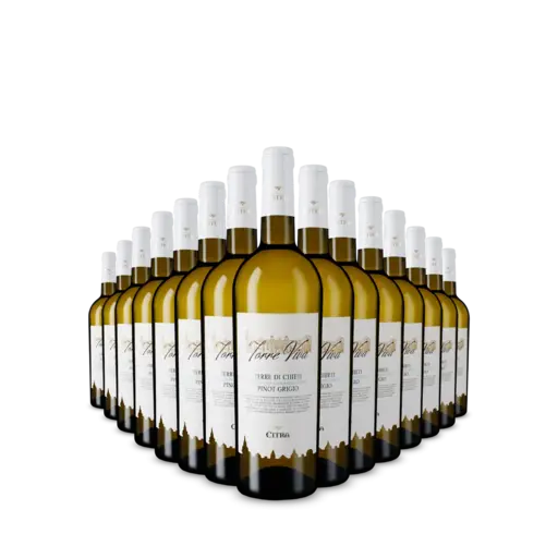15 sticle Torre Viva Pinot Grigio 2025