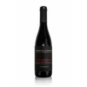 Vin rosu sec Domini Veneti Amarone della Valpolicella DOCG Classico, Italia