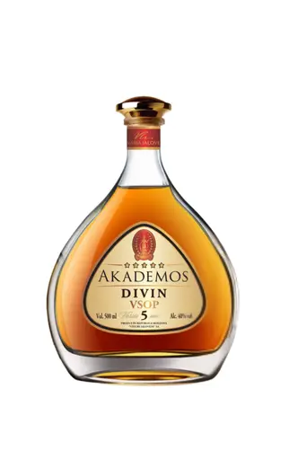 Divin Akademos 5 ani