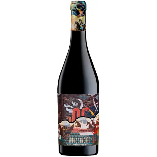 Domini Veneti Valpolicella Appassimento