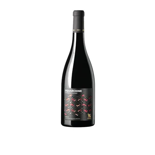 Vin Rosu Sec Squarcione Appassimento IGP 2023
