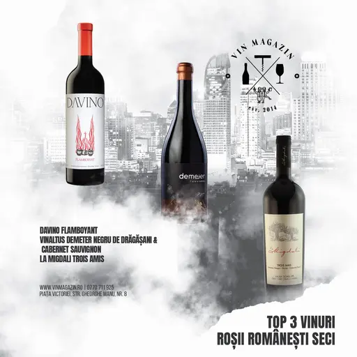 Top 3 Vinuri Romanesti Seci