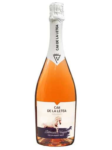 Caii de la Letea Princeps Rose