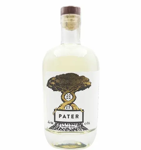 Pater Rachiu de Gutui