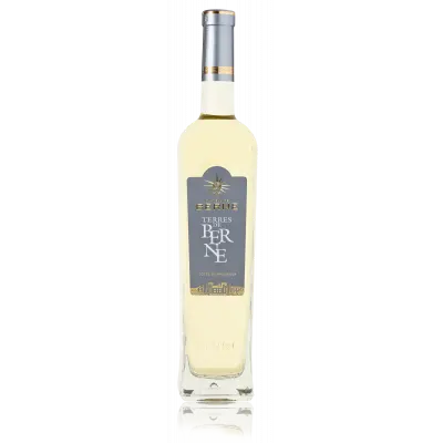 Vin Alb Cotes De Provence Terres De Berne