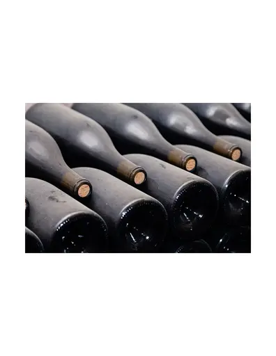 PINOT NOIR 61 MURFATLAR