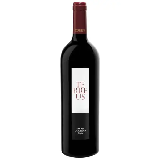 Mauro TERREUS