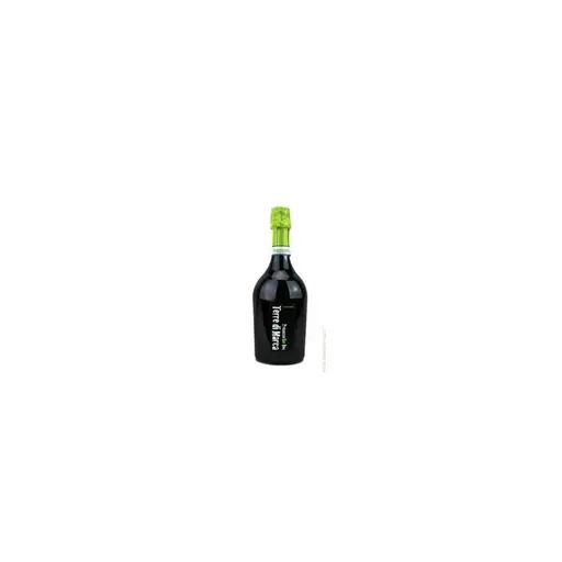 VIN S.TERRE DI MARCA PROSECCO EX.DRY BIO