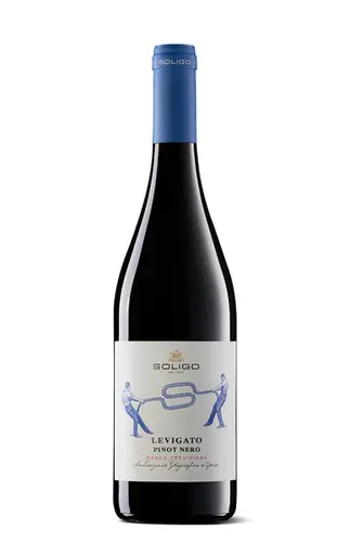 Soligo Levigato Pinot Nero Marca Trevigiana IGT