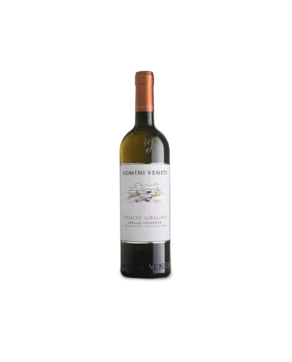Vin alb sec Domini Veneti Pinot Grigio Delle Venezie, Italia