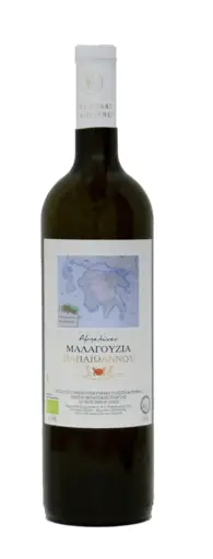 Papaioannou Malaguzia