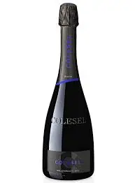 Colesel Prosecco Valdobbiadene Superiore Dry Elevo DOCG