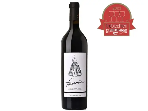 Terre Carsiche - Fanova Primitivo Gioia del Colle 2022