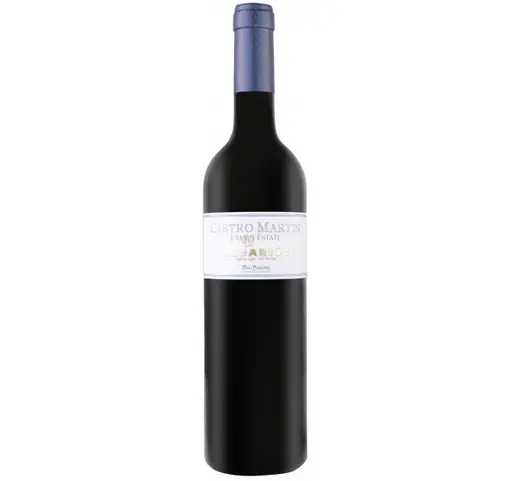 Bodegas Castro Martin Family Estate Selection Albarino