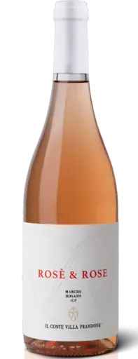 Rose Marche Rosato IGP