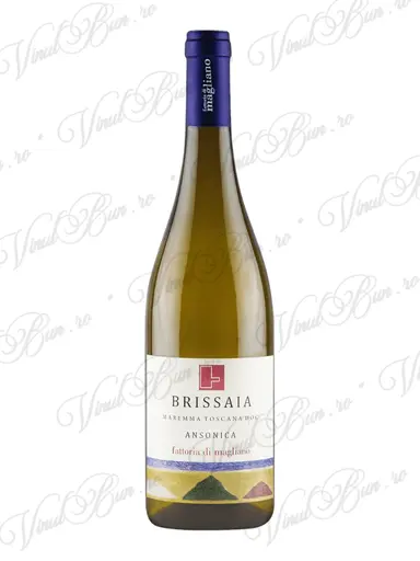Ansonica Brissaia
