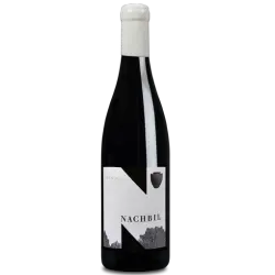 Nachbil Grunspitz Nefiltrat
