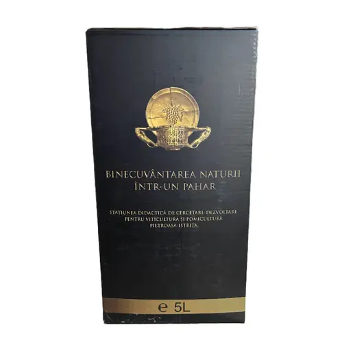 Pietroasa Veche Rielsing Italian Vin Alb Demisec Bag in Box