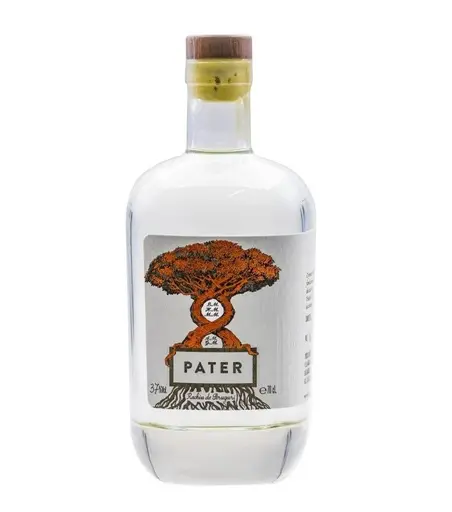 Pater Rachiu de Struguri
