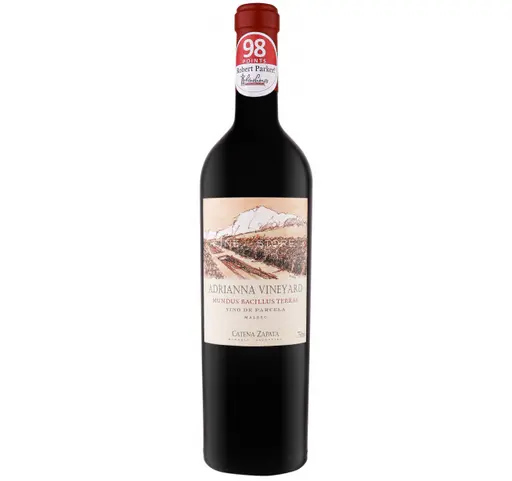 Catena Zapata Adrianna Vineyard Mundus Bacillus Terrae Malbec