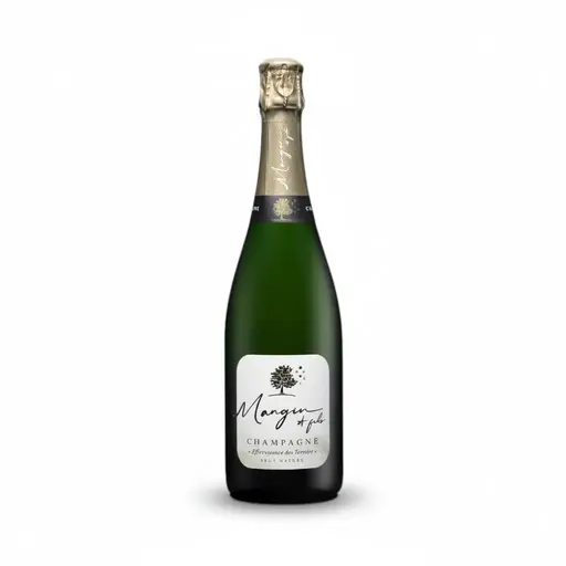 Sampanie Mangin Brut Nature
