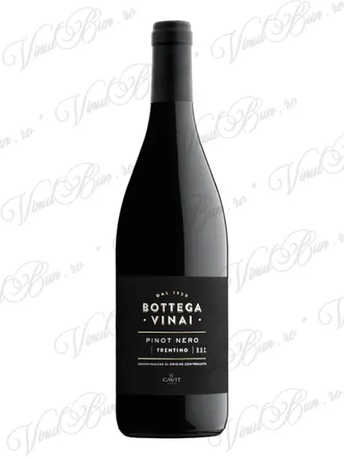 Cantina Viticoltori Cavit Vin Cavit Bottega Vinai Pinot Nero Trentino DOC 2021
