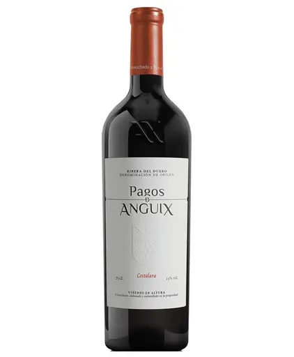 Juve & Camps Pagos de Anguix Costalara