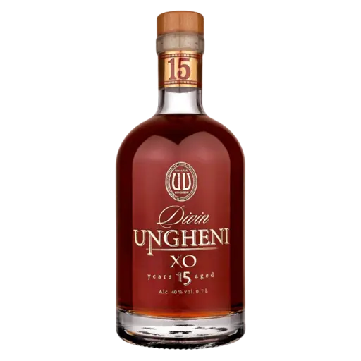 Divin Ungheni XO 15 Ani