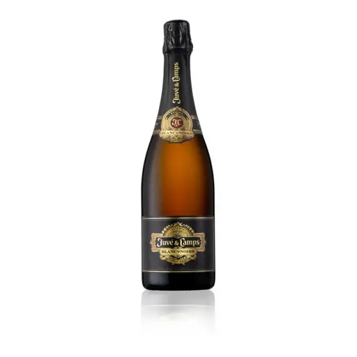 Juve y Camps Blanc de Noirs Cava Reserva Brut