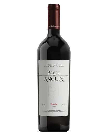 Juve & Camps Pagos de Anguix Barrueco