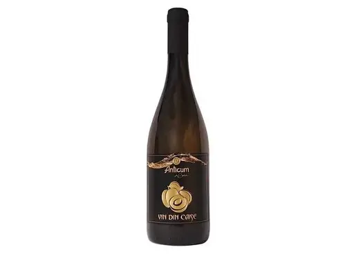 Vin Din Caise Anticum