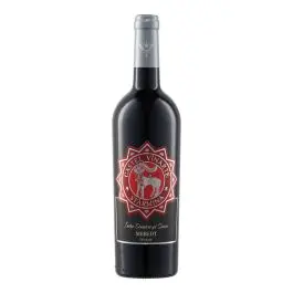 Vinarte Castel Starmina Merlot Rosu Sec Bag in Box