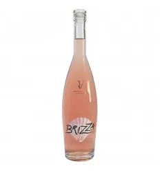 Domeniul Vladoi Brizza Rose Demisec 2024