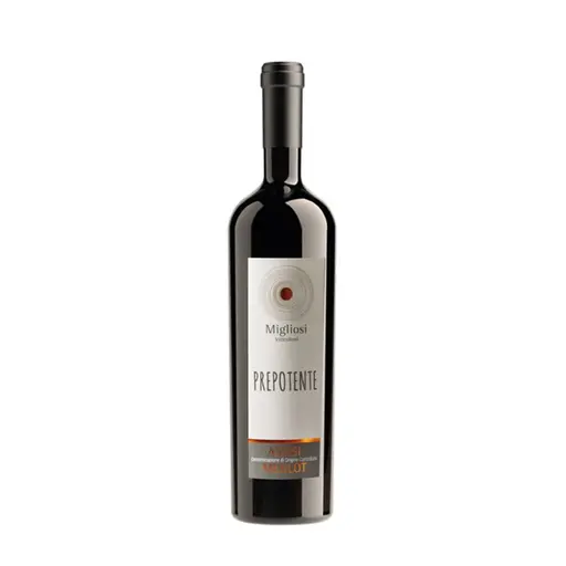 Prepotente Merlot DOC 2020 Migliosi