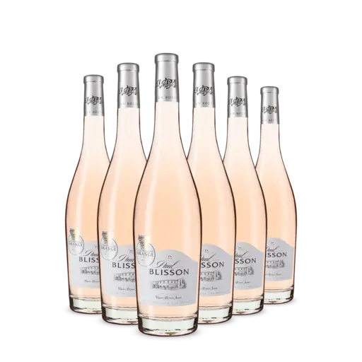 6x Paul Blisson Rose