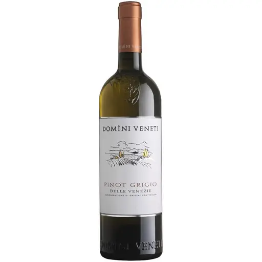 Domini Veneti - Pinot Grigio delle Venezie DOC 2023 - Good Wine