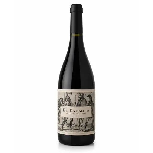 Bonarda Mendoza Single Vineyard El Mirador 2022