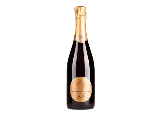 Monzio Compagnoni - Franciacorta Millesimato Brut